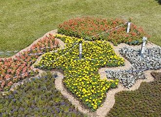 Госзакупки. Как благоустраивают Минск и Минский район