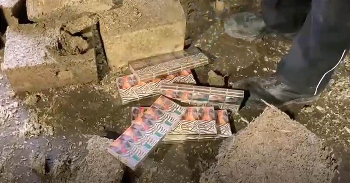 В Латвии обнаружили 3,5 млн. контрабандных сигарет, замурованных в арболитовые блоки