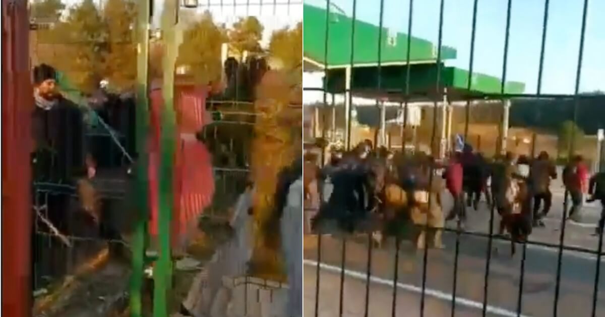 Видео: Мигранты прорывают беларусский кордон, пытаясь легально попасть в Польшу