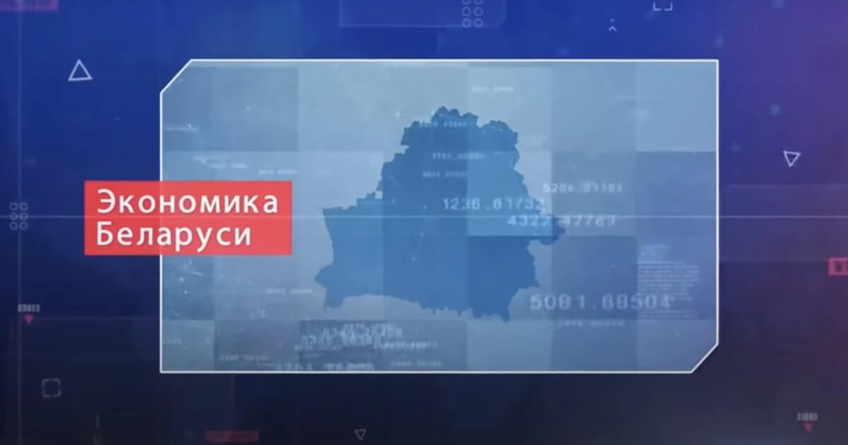 Алехнович и Чалый рассказали, удастся ли «пересидеть» экономический кризис