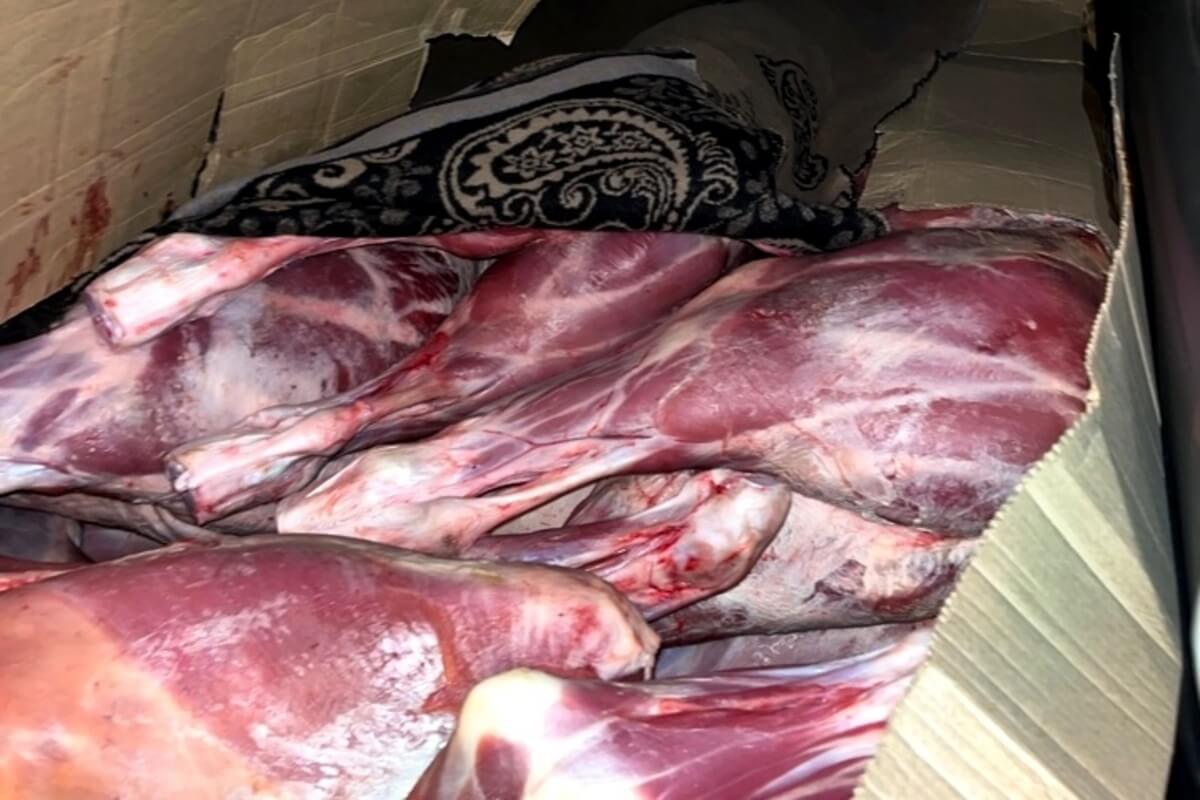 Seven batches of meat and fish from Belarus were destroyed in Russia