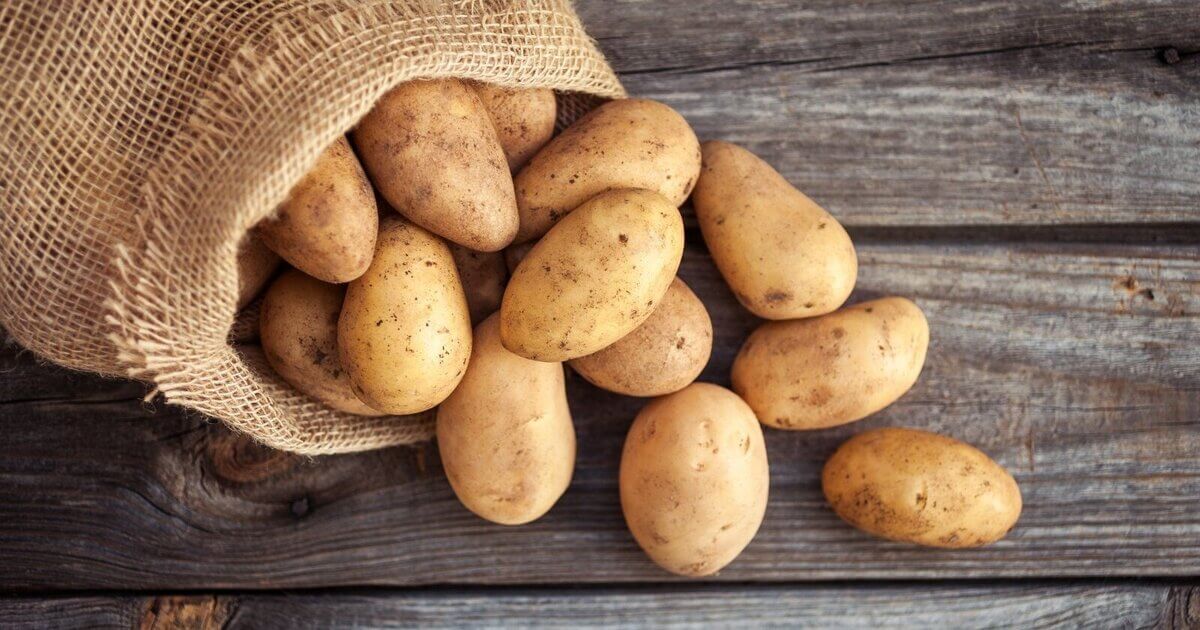 Armenian agrarians believe that Belarus sells them European seed potatoes under the guise of its own