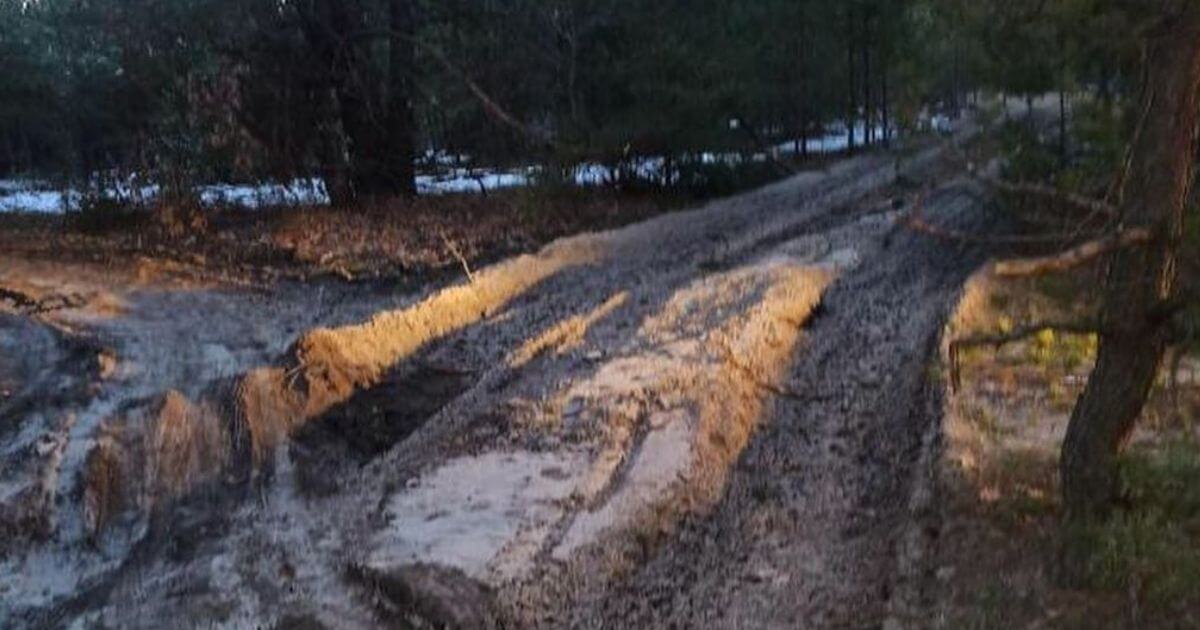 Танки разбили единственную дорогу к дачам на территории заказника под Брестом