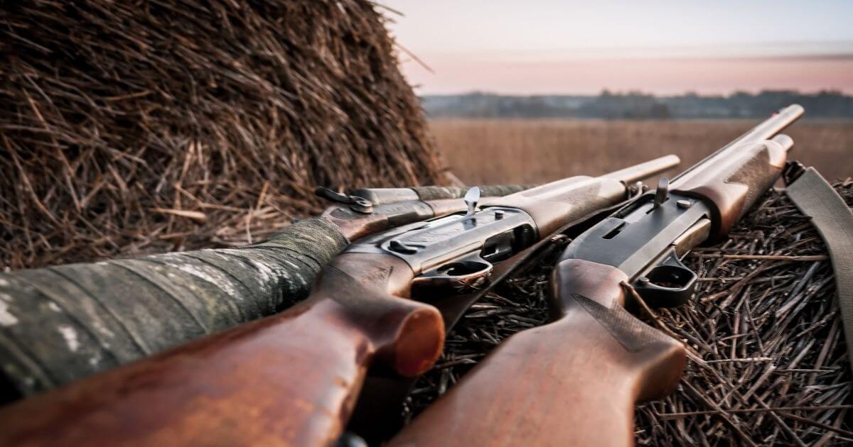 В Брестской области на 2 недели запрещена охота