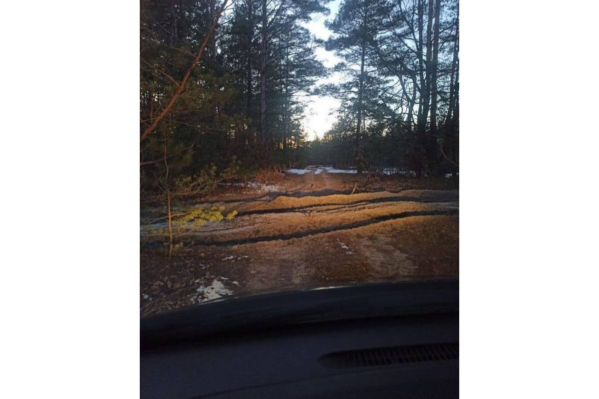 Tanks destroyed the only road to cottages on the territory of a nature reserve near Brest