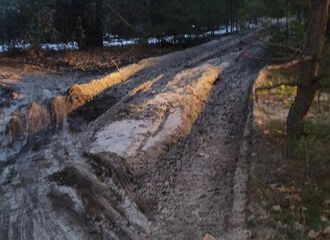 Танки разбили единственную дорогу к дачам на территории заказника под Брестом