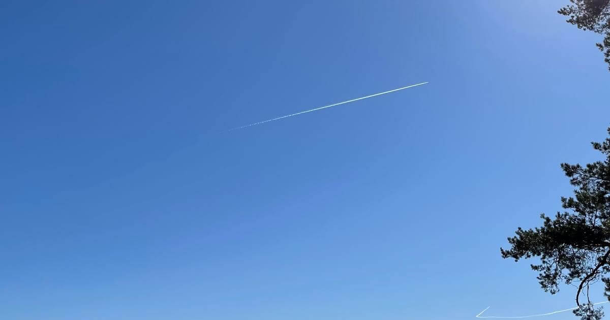 Оперативная сводка от Гаюна за 22 марта о военной активности на территории Беларуси