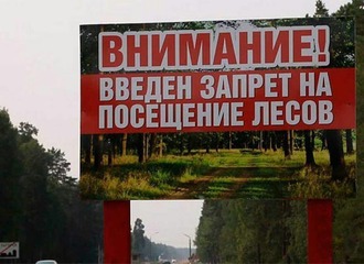 Минлесхоз врёт о причинах запрета на посещение лесов?