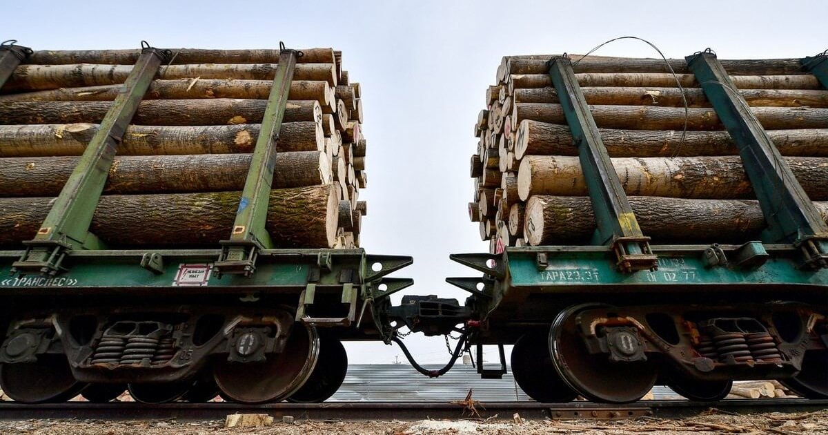 Литовская железная дорога прекращает перевозку беларусской древесины, металлов и резины