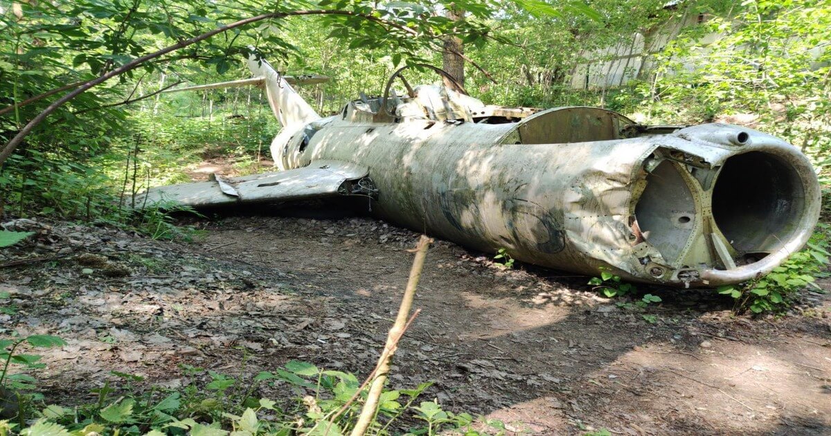 В лесу под Минском лежат останки реактивного самолёта МиГ-15УТИ