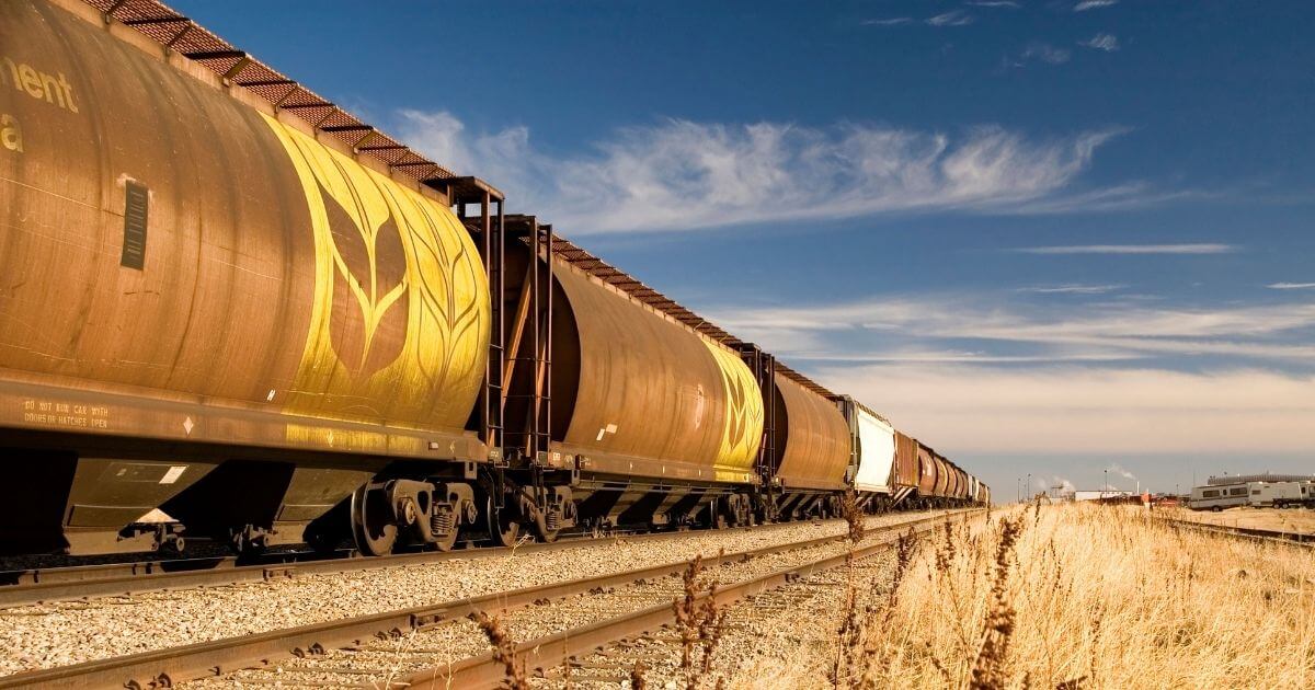 Лукашенко участвует в вывозе зерна с оккупированных территорий Украины?