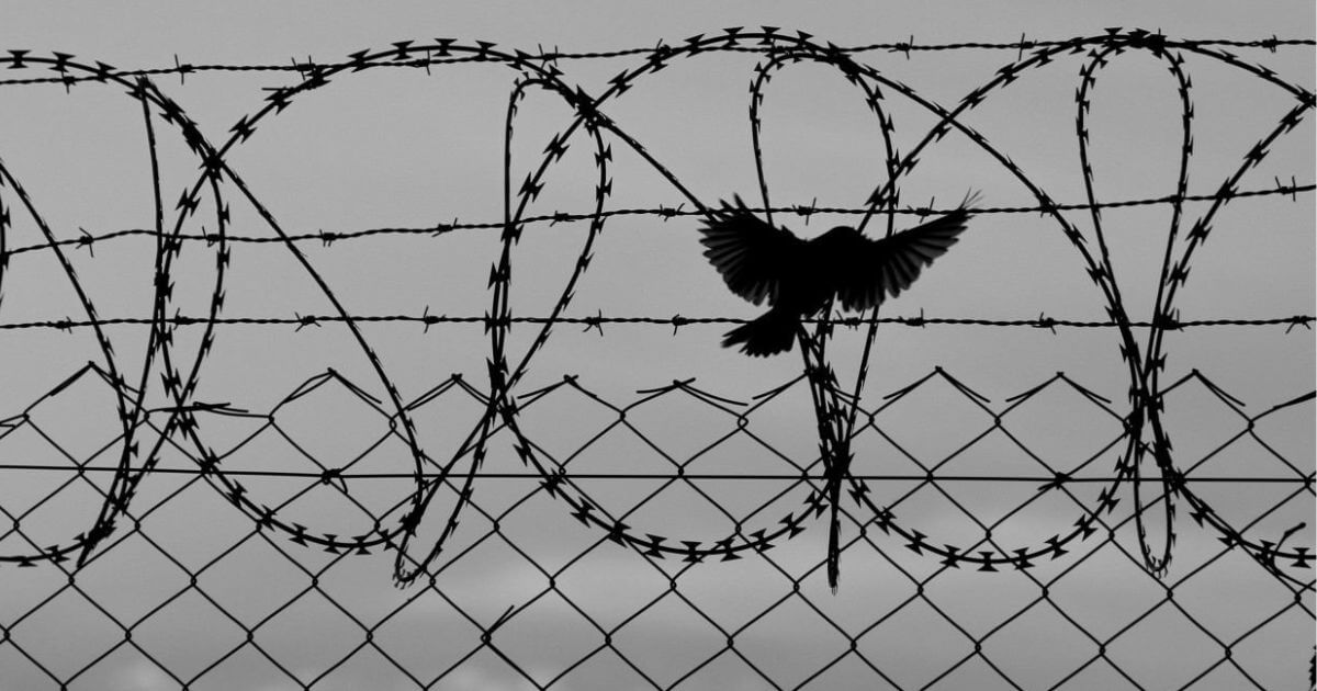 В Беларуси введены контрсанкции против иностранных инвесторов 190 беларусских компаний