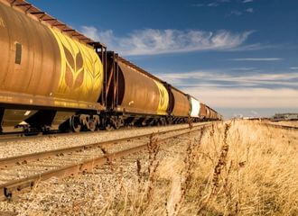 Лукашенко участвует в вывозе зерна с оккупированных территорий Украины?