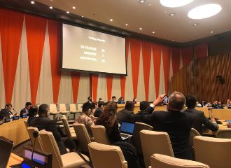 У беларусского общества будет свой голос в ООН: БХК получил консультативный статус при ЭКОСОС ООН