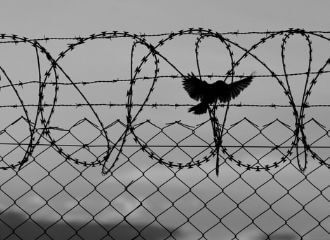 Belarus imposed counter-sanctions against foreign investors of 190 Belarusian companies