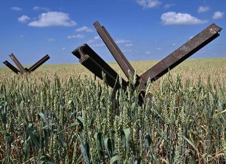 Лукашэнка вывозіць збожжа з акупаваных тэрыторый Украіны?