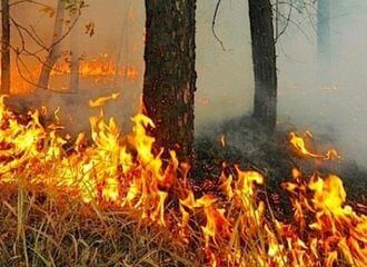 У Беларусі гараць Альманскія балоты — пажар бачны з космасу