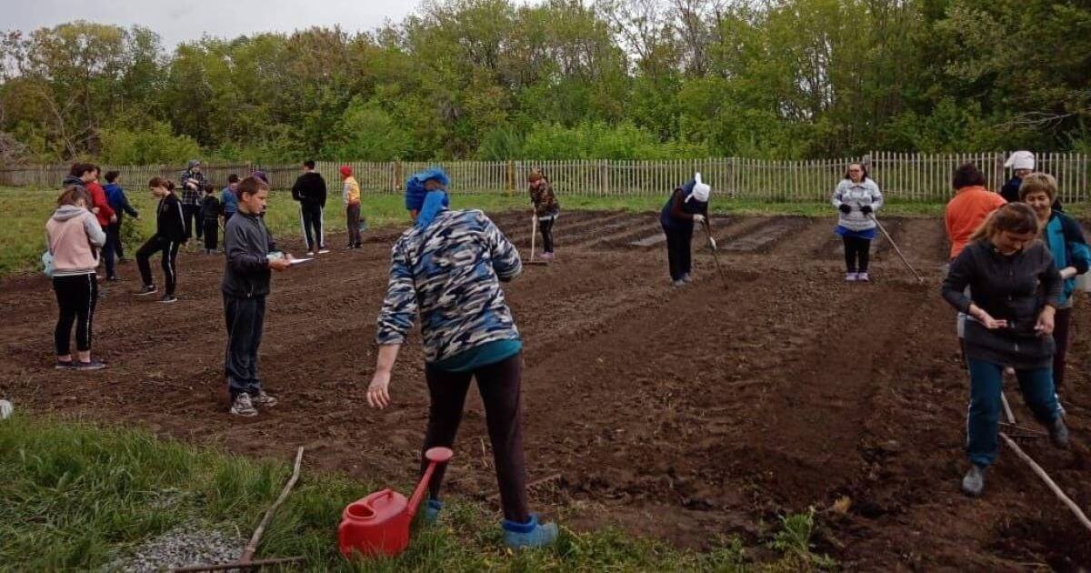 У Гродне школьнікаў замест вучобы хацелі адправіць перабіраць бульбу, але з-за абурэння бацькоў усё хутка адмянілі