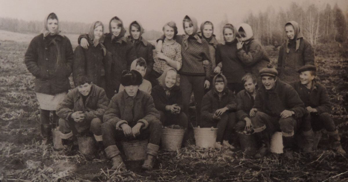 Лукашэнка запатрабаваў «мабілізаваць школьнікаў на бульбу». А гэта законна?