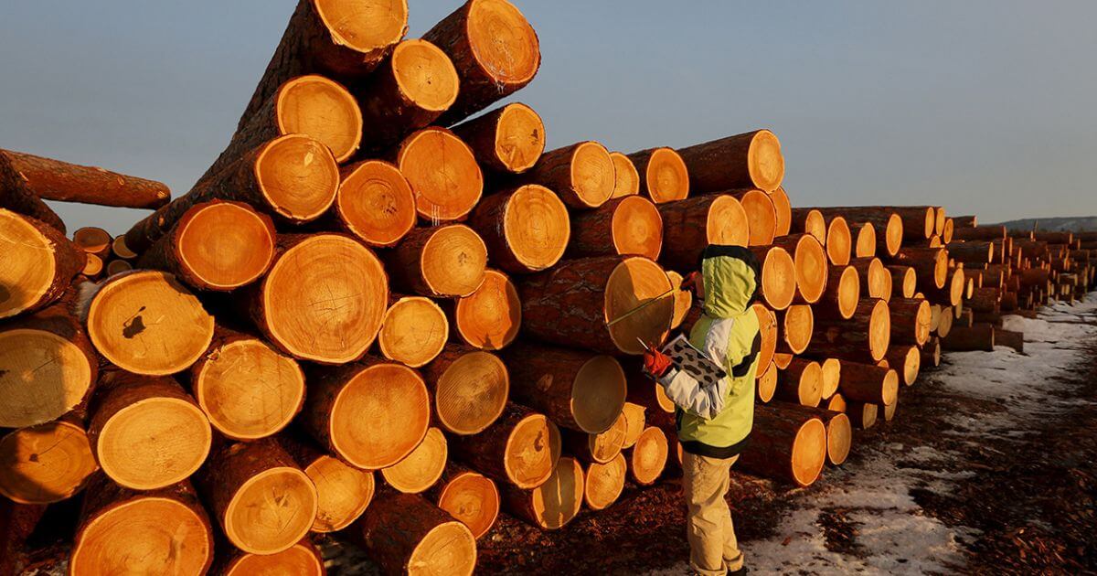 Кыргызстанскія журналісты праверылі кампаніі з расследавання аб кантрабандзе беларускіх піламатэрыялаў у ЕС: гэта фірмы-аднаднеўкі