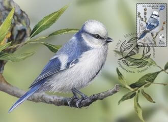 Марка «Аховы птушак Бацькаўшчыны» вышла на 1-е место в голосовании за марку года от Белпочты