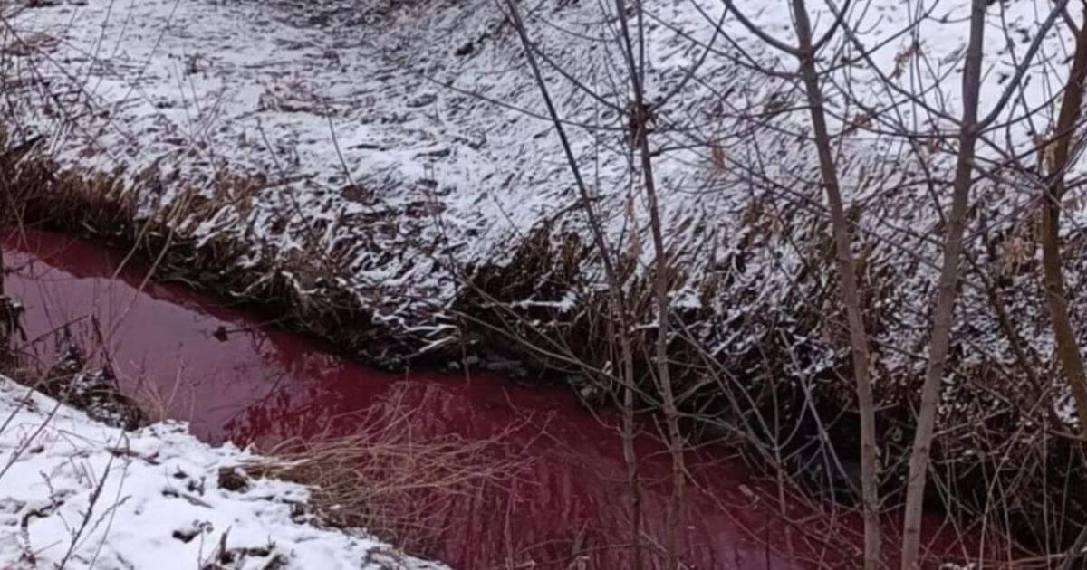 В Молодечно река окрасилась в ярко-алый цвет. Чиновники это не комментируют