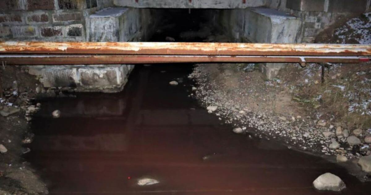 Чиновник отреагировал на «кровавую» реку в Молодечно: «Всех найдём, накажем и покажем по ТВ»