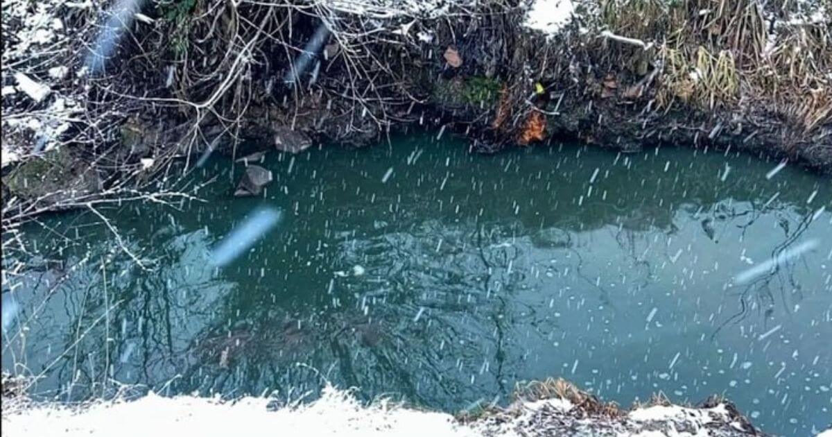 «Кровавая» река в Молодечно опять перекрасилась — теперь в изумрудно-зелёный