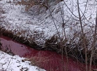 В Молодечно река окрасилась в ярко-алый цвет. Чиновники это не комментируют
