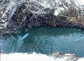 «Крывавая» рака ў Маладзечне зноў перафарбавалася — цяпер у смарагдава-зялёны.