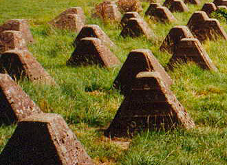 Расследование: «Зубы дракона» выпускают минимум 6 беларусских предприятий, и ими укрепляют границу в Брянской области, РФ