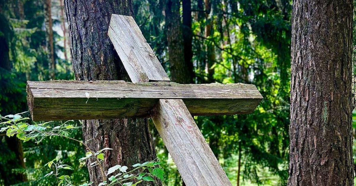 В Куропатах повредили кресты при спиливании деревьев