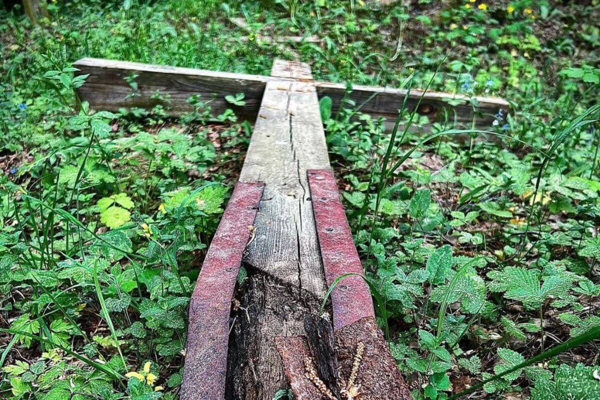 В Куропатах повредили кресты при спиливании деревьев