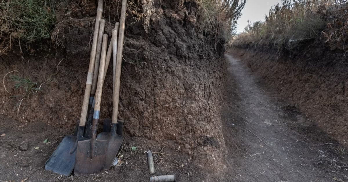 «Линию Хренина» начали строить под Жабинкой