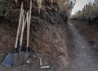 «Линию Хренина» начали строить под Жабинкой