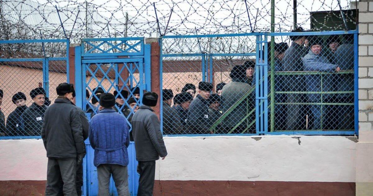 MAYDAY: В бобруйской колонии заключённый совершил самоубийство