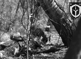 Погибли пятеро беларусских добровольцев