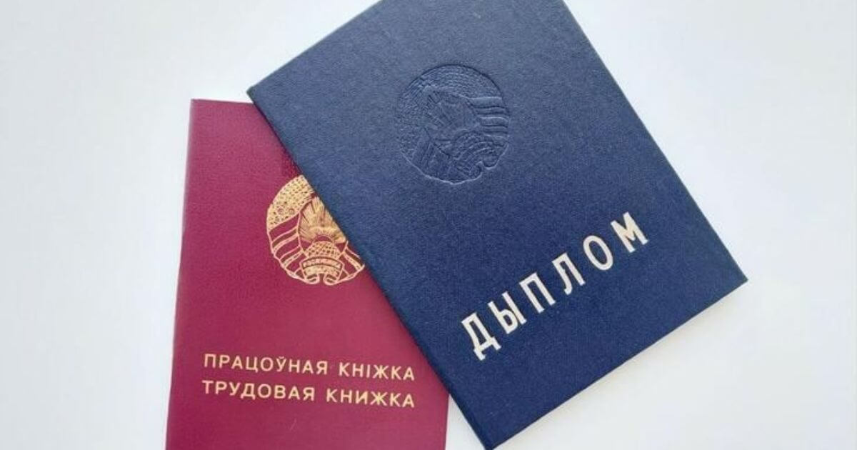 В Беларуси хотят ввести отработку для платников