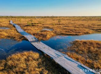 На Ельне уже сутки горит болото