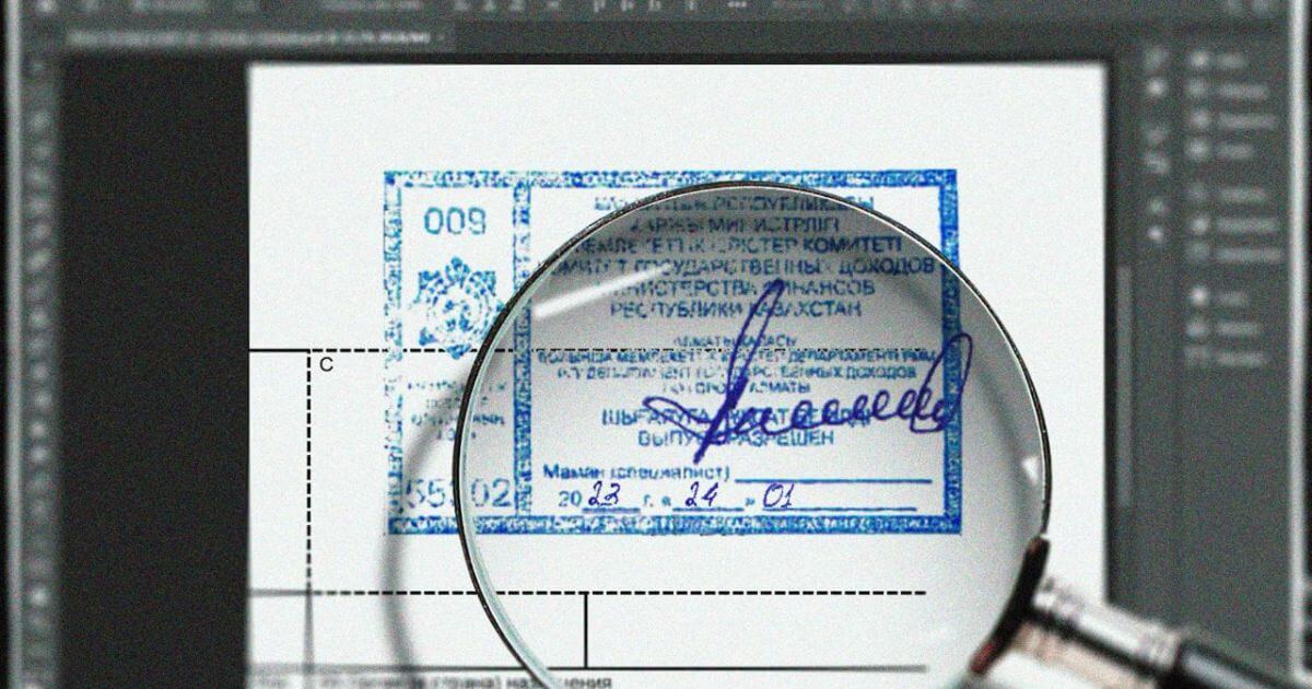 БРЦ: Беларусская древесина попадает в ЕС несмотря на санкции — по поддельным накладным