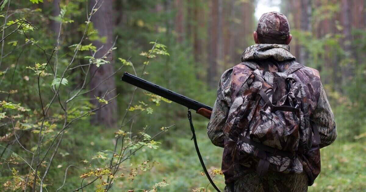 «Алмаз» задержал за браконьерство 19 охотников на Витебщине: они охотились на вертолёте ДОСААФ?