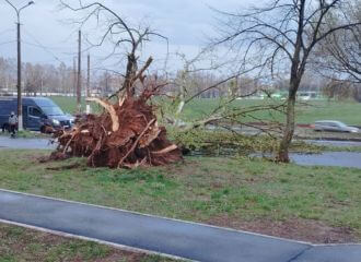 Па поўдні Беларусі пранёсся ўраганны вецер з пяском: пашкоджаны платы, дрэвы, білборды