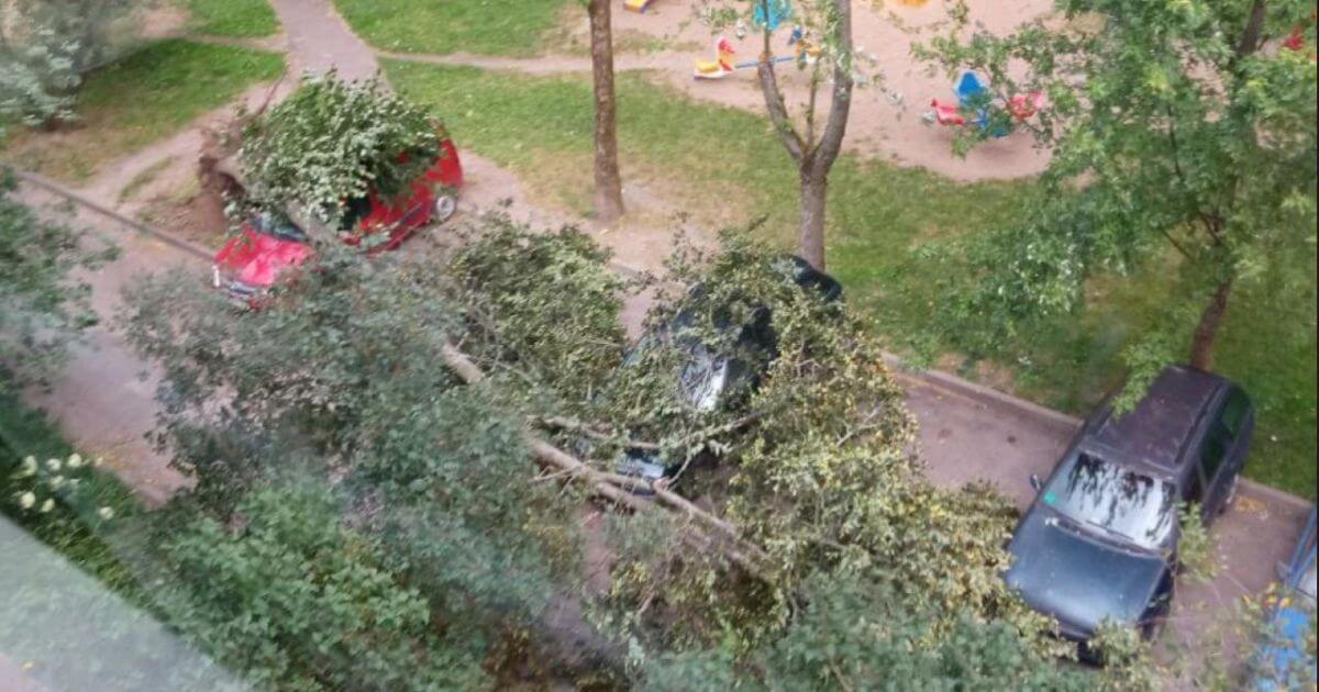 У Мінску з-за непагадзі паламаныя дрэвы і назіраюцца перабоі з электрычнасцю