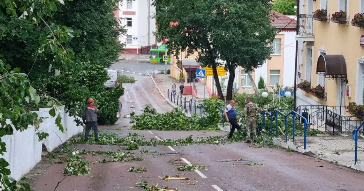 Мінэнерга заявілі, што электрычнасць адноўлена ва ўсіх населеных пунктах Гомельскай вобласці, але гэта няпраўда