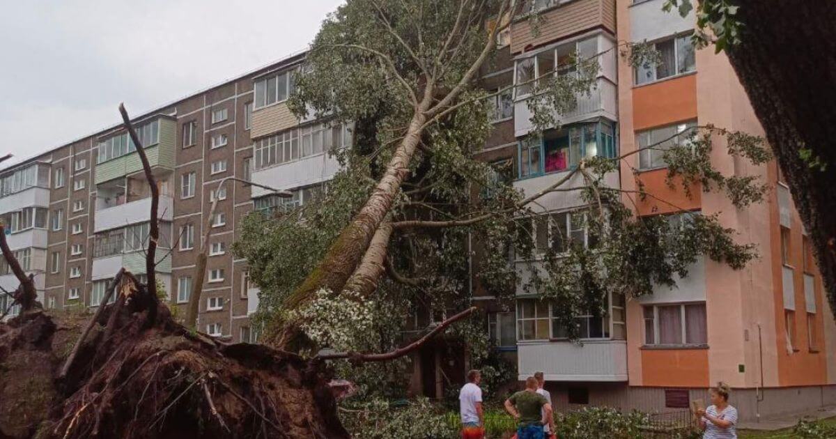 В Мозыре до сих пор нет электричества и водоснабжения. Последствия шторма на Гомельщине