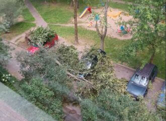 В Минске из-за непогоды поломаны деревья и наблюдаются перебои с электричеством