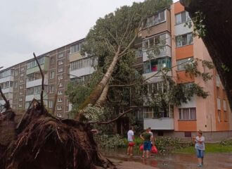 В Мозыре до сих пор нет электричества и водоснабжения. Последствия шторма на Гомельщине