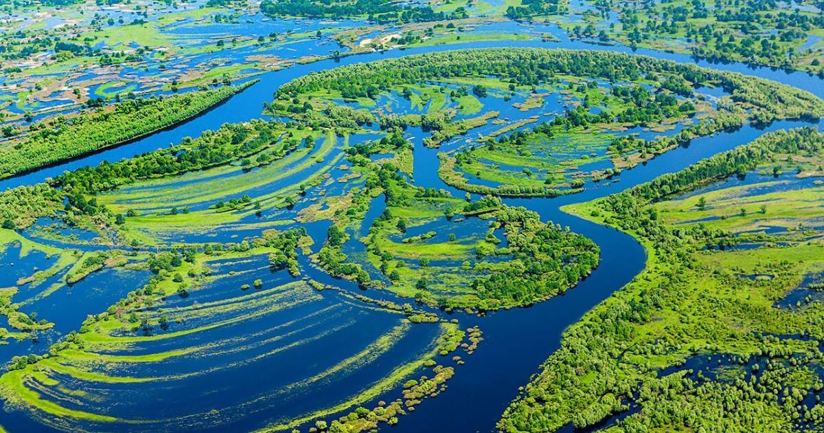 У Беларусі пашыраць меліярацыю Палесся, што прама пагражае ўнікальнай прыродзе рэгіёна