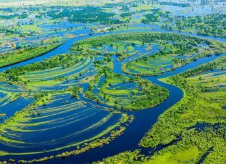 У Беларусі пашыраць меліярацыю Палесся, што прама пагражае ўнікальнай прыродзе рэгіёна
